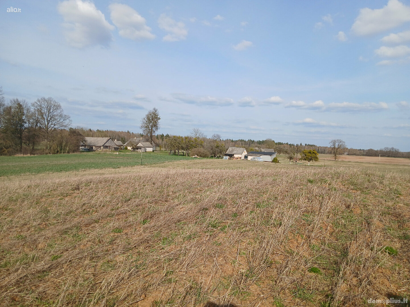 Участок Druskininkų sav., Guobiniuose, Skuisto g.