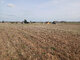 Land for sale Druskininkų sav., Guobiniuose, Skuisto g. (2 picture)