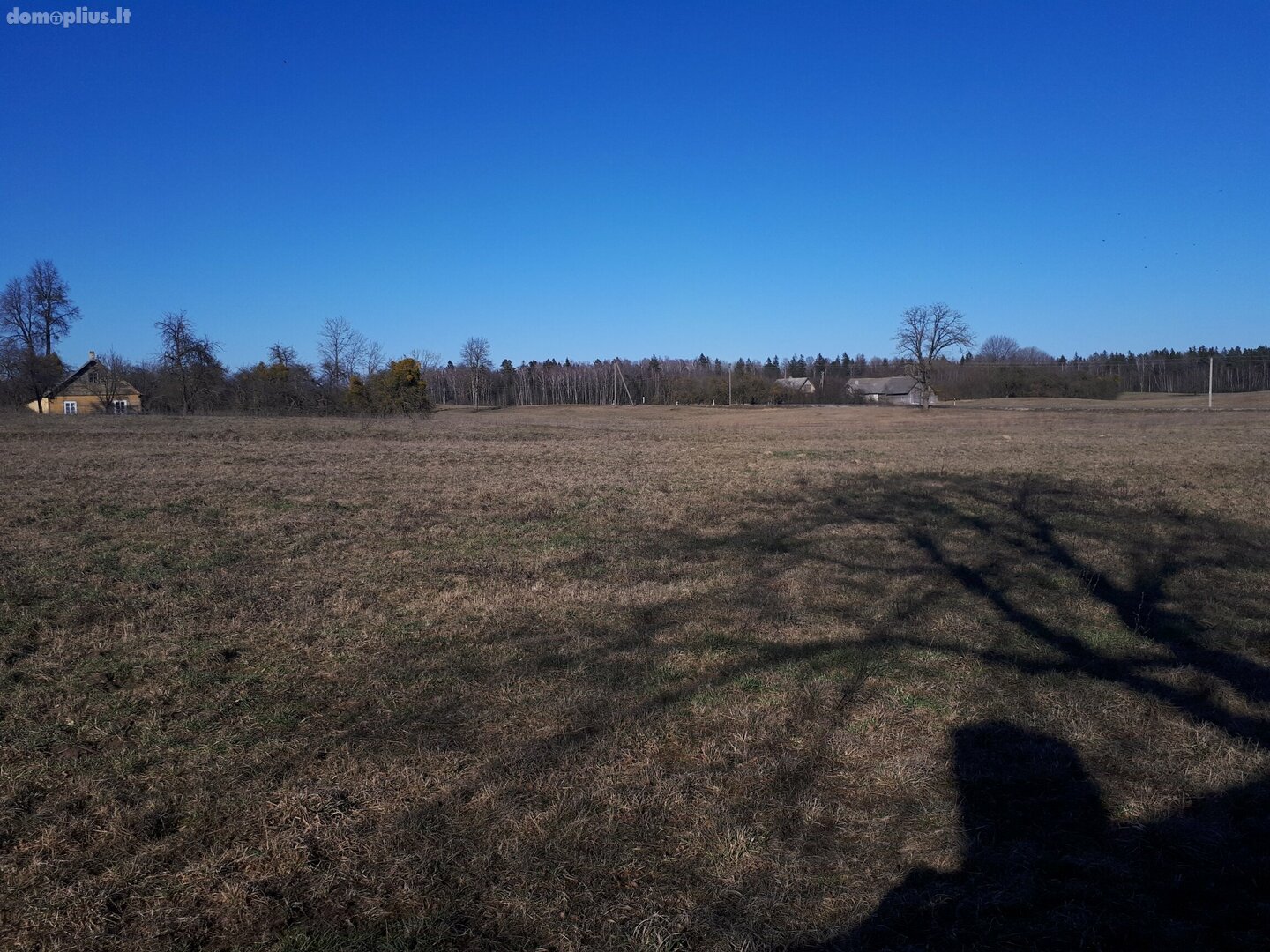 Участок Druskininkų sav., Guobiniuose, Skuisto g.