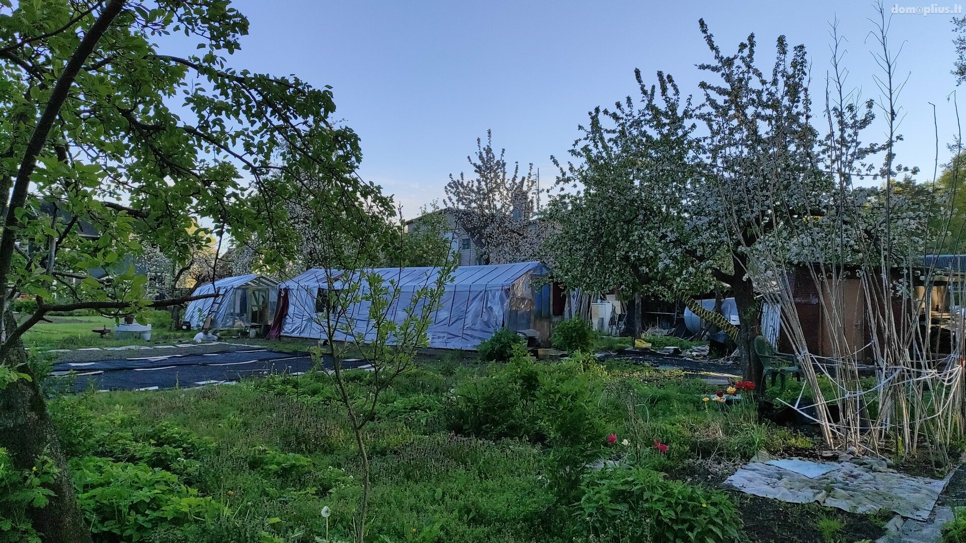 Участок Panevėžio rajono sav., Plukiuose, Užuovėjos g.