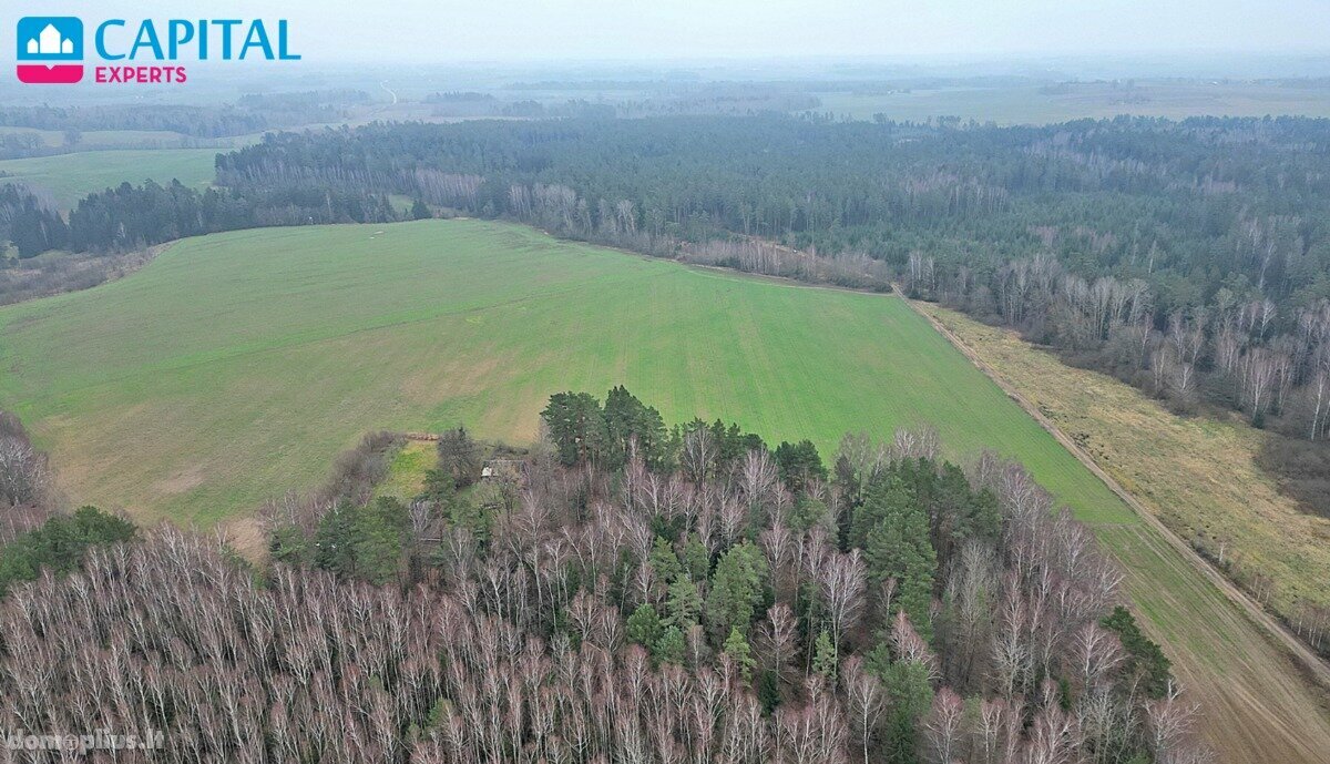 Участок Kaišiadorių rajono sav., Darsūniškyje