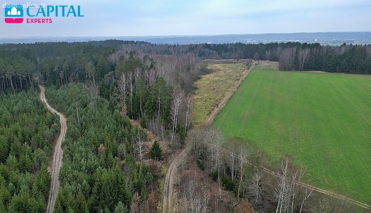 Участок Kaišiadorių rajono sav., Darsūniškyje