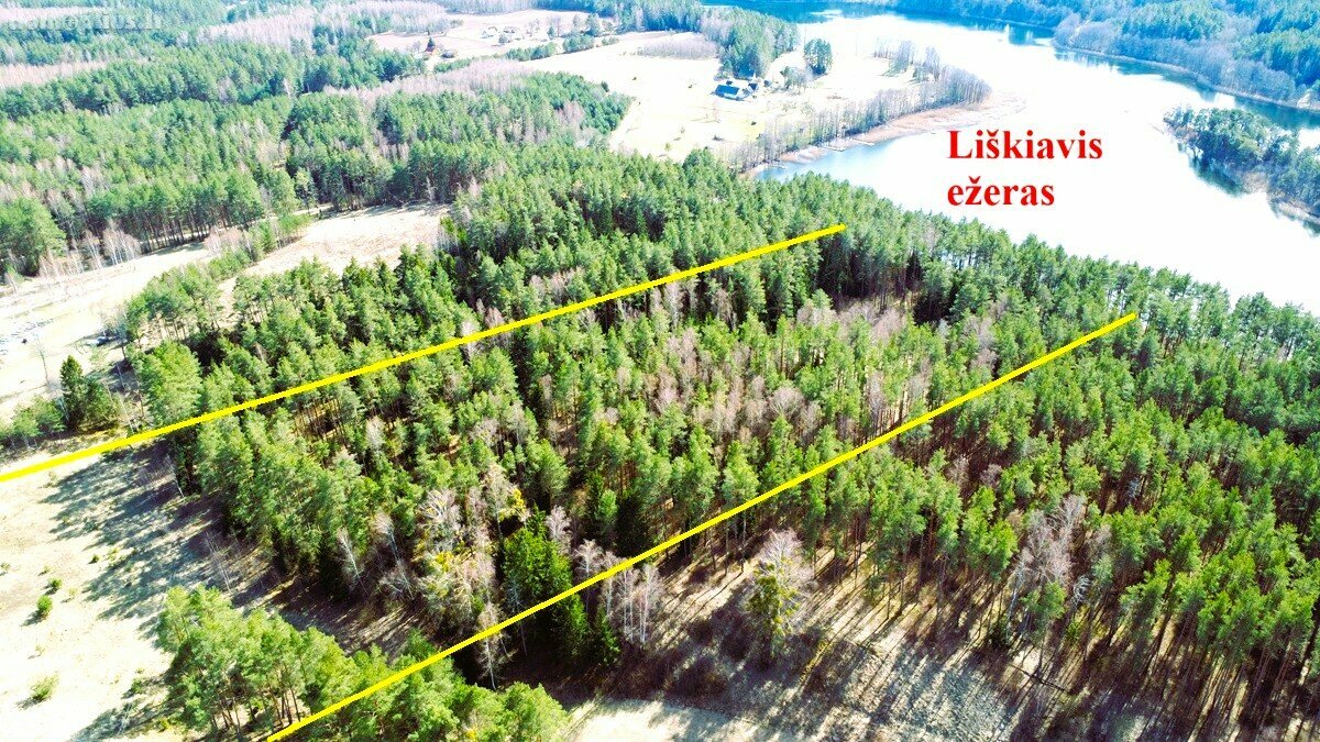 Участок Varėnos rajono sav., Vilkiautinyje, Liškiavos g.