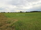 Land for sale Klaipėdos rajono sav., Dargužiuose, Peskojų g. (19 picture)