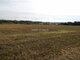 Land for sale Klaipėdos rajono sav., Šlikiuose (9 picture)