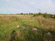 Land for sale Klaipėdos rajono sav., Šlikiuose (11 picture)
