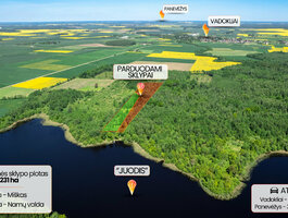 Sklypas Panevėžio rajono sav., Datūniškyje