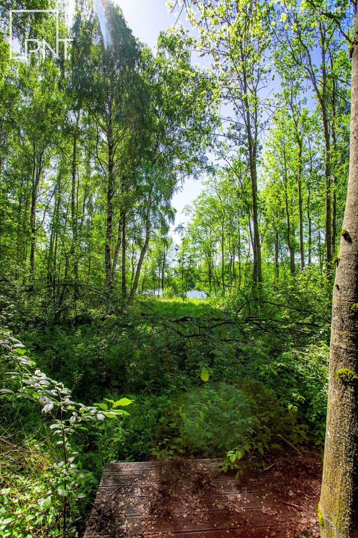 Land for sale Panevėžio rajono sav., Datūniškyje