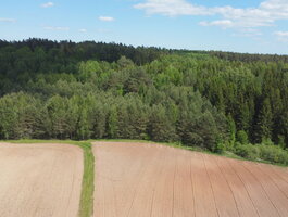Parduodamas sklypas Kaišiadorių rajono sav., Varkališkėse