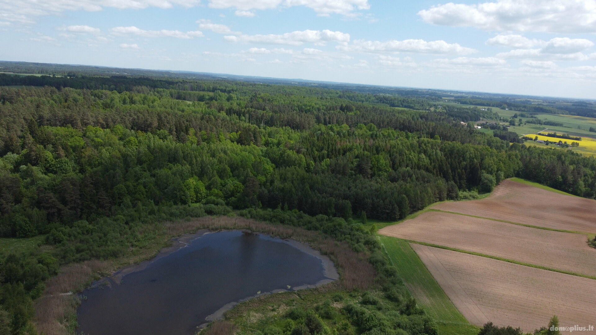 Land for sale Kaišiadorių rajono sav., Varkališkėse