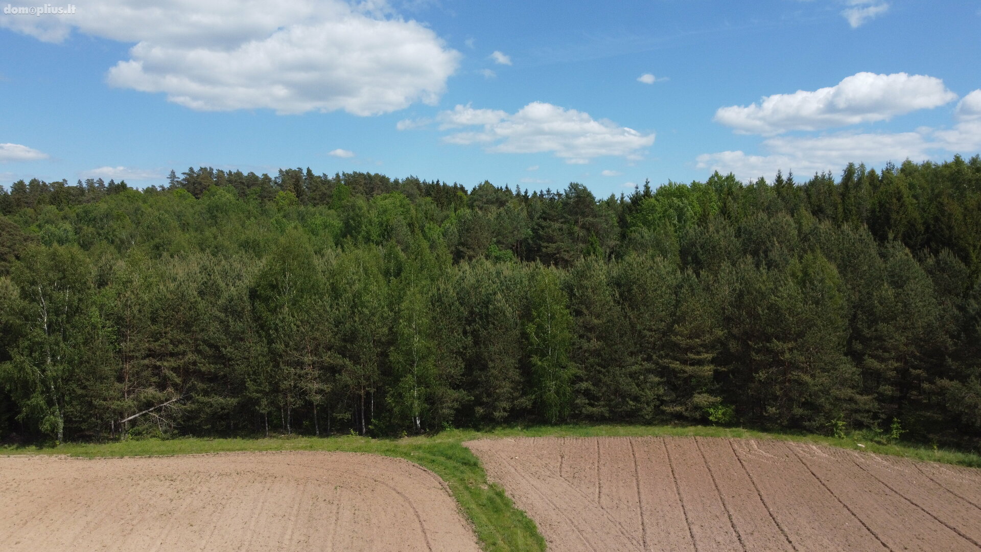 Land for sale Kaišiadorių rajono sav., Varkališkėse