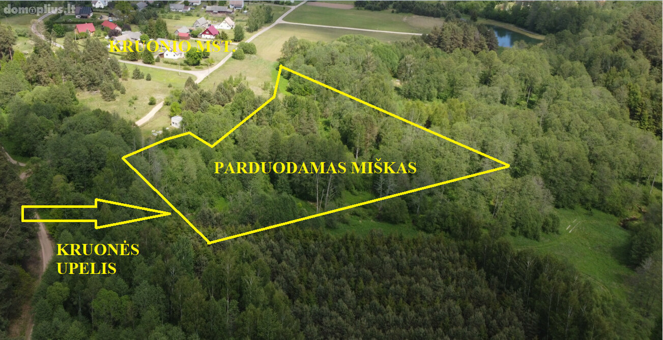 Land for sale Kaišiadorių rajono sav., Kruonyje