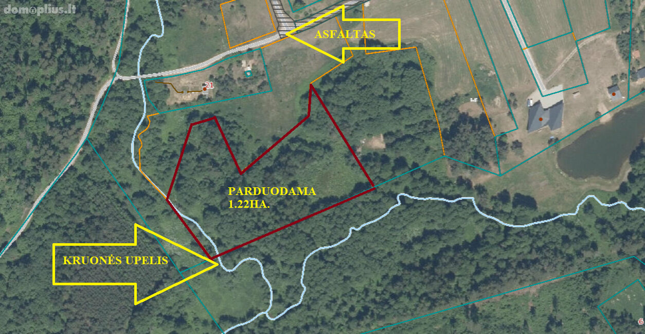 Участок Kaišiadorių rajono sav., Kruonyje