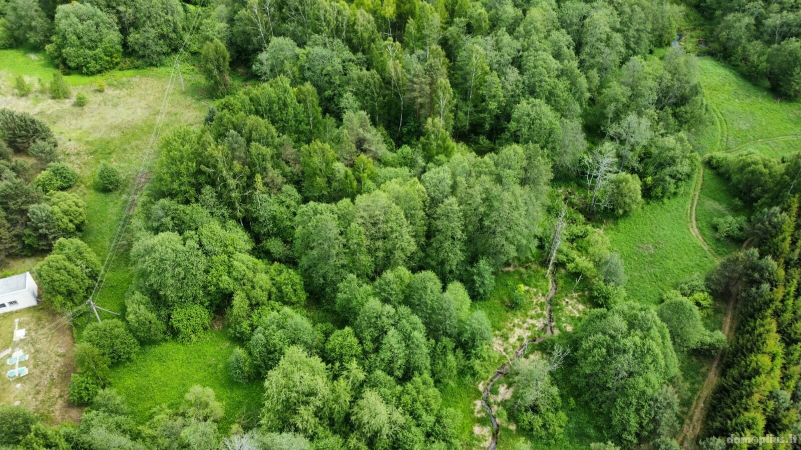 Участок Kaišiadorių rajono sav., Kruonyje