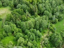 Land for sale Kaišiadorių rajono sav., Kruonyje