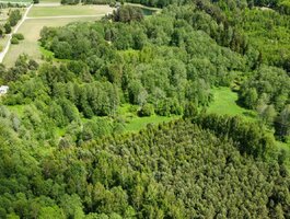 Land for sale Kaišiadorių rajono sav., Kruonyje