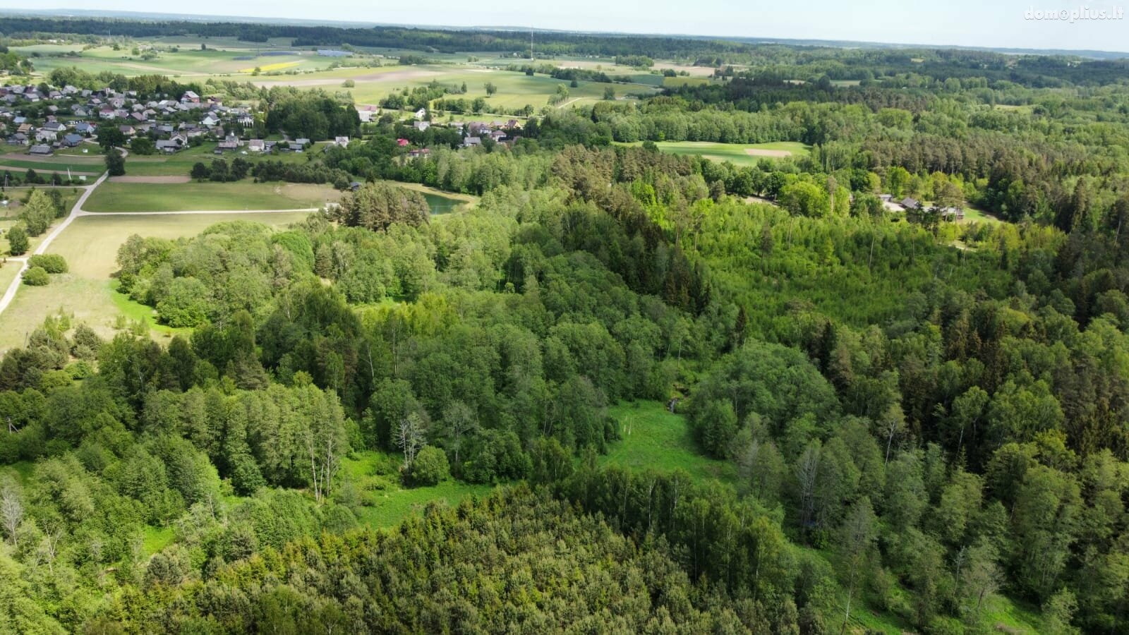 Участок Kaišiadorių rajono sav., Kruonyje