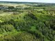 Land for sale Kaišiadorių rajono sav., Kruonyje (6 picture)