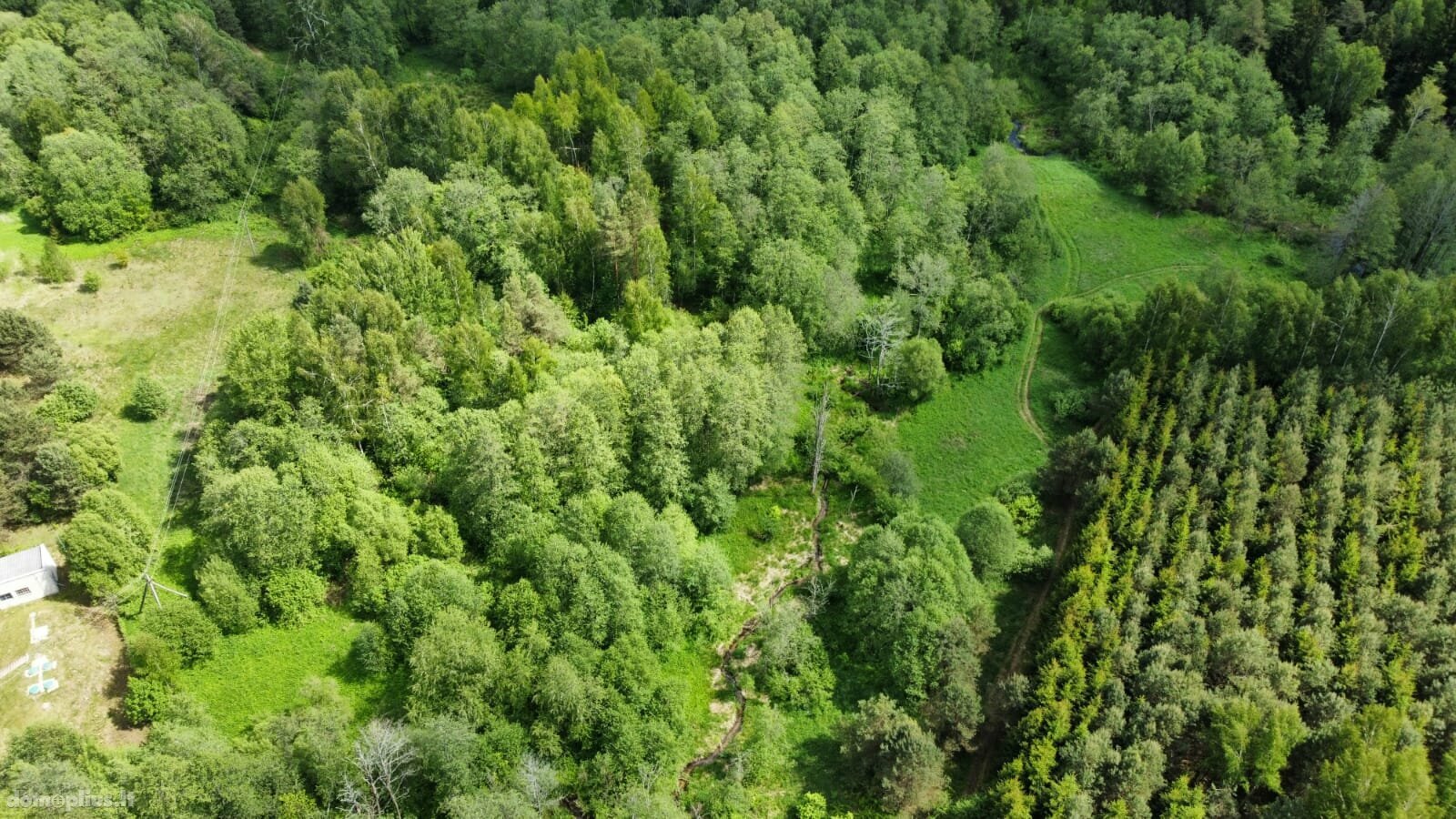 Участок Kaišiadorių rajono sav., Kruonyje