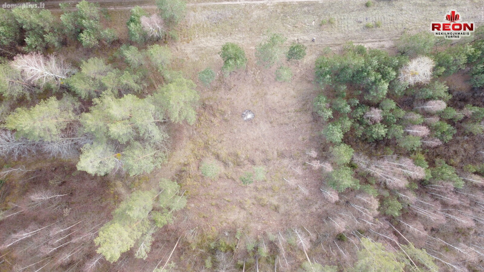 Parduodamas sklypas Druskininkų sav., Druskininkuose, Pylimo g.