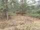 Parduodamas sklypas Birštono sav., Šilėnuose, Smilgų g. (20 nuotrauka)