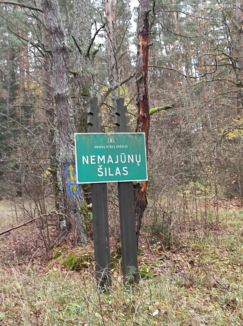 Parduodamas sklypas Birštono sav., Šilėnuose, Smilgų g.