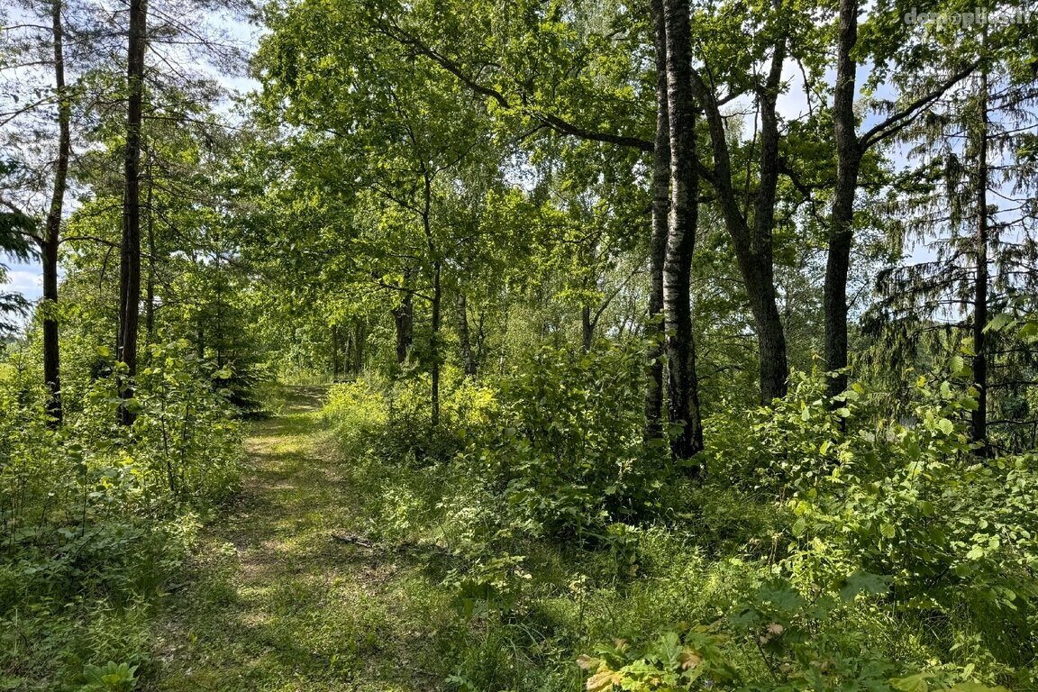 Участок Trakų rajono sav., Subartėnuose