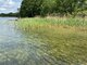 Участок Trakų rajono sav., Subartėnuose (21 Фотография)