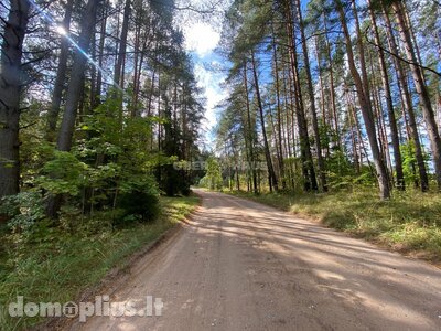 Parduodamas sklypas Kelmės rajono sav., Svilėje