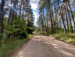 Land Kelmės rajono sav., Svilėje