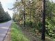 Parduodamas sklypas Kelmės rajono sav., Svilėje (7 nuotrauka)