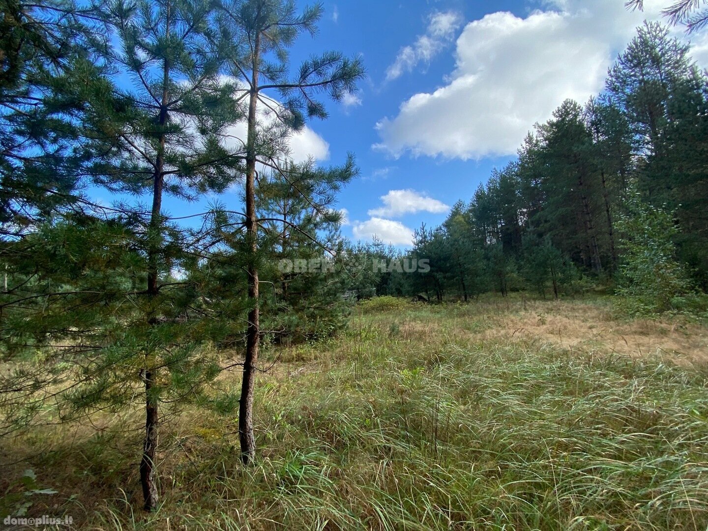 Parduodamas sklypas Kelmės rajono sav., Svilėje