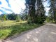 Parduodamas sklypas Kelmės rajono sav., Svilėje (11 nuotrauka)