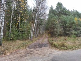 Land for sale Birštono sav., Šilėnuose, Kadagių g.