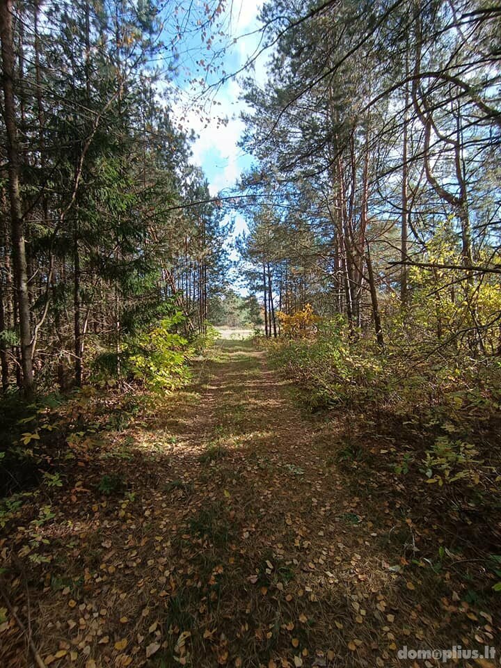 Parduodamas sklypas Birštono sav., Šilėnuose, Kadagių g.