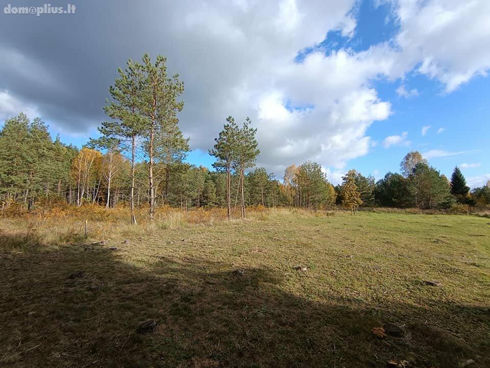 Parduodamas sklypas Birštono sav., Šilėnuose, Kadagių g.