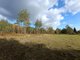 Parduodamas sklypas Birštono sav., Šilėnuose, Kadagių g. (11 nuotrauka)