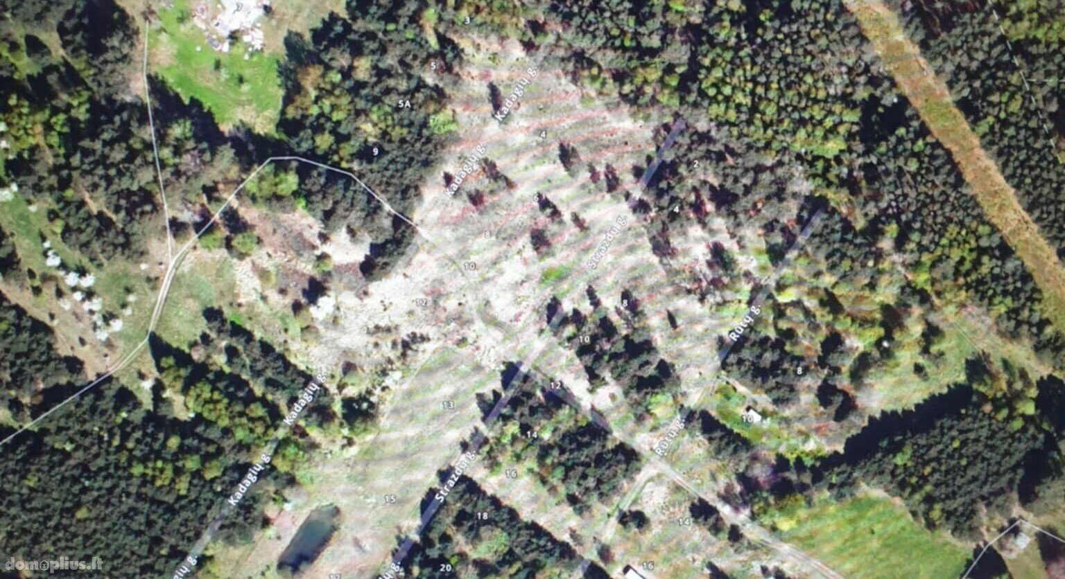 Parduodamas sklypas Birštono sav., Šilėnuose, Kadagių g.