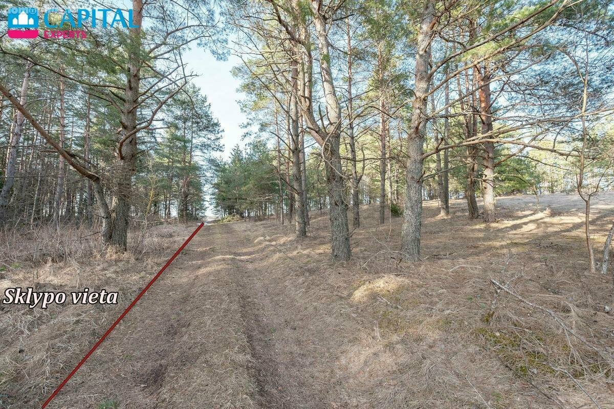 Parduodamas sklypas Trakų rajono sav., Senasis Tarpupis