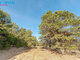 Land for sale Trakų rajono sav., Senasis Tarpupis (10 picture)
