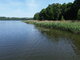 Parduodamas sklypas Kaišiadorių rajono sav., Kalviuose (6 nuotrauka)
