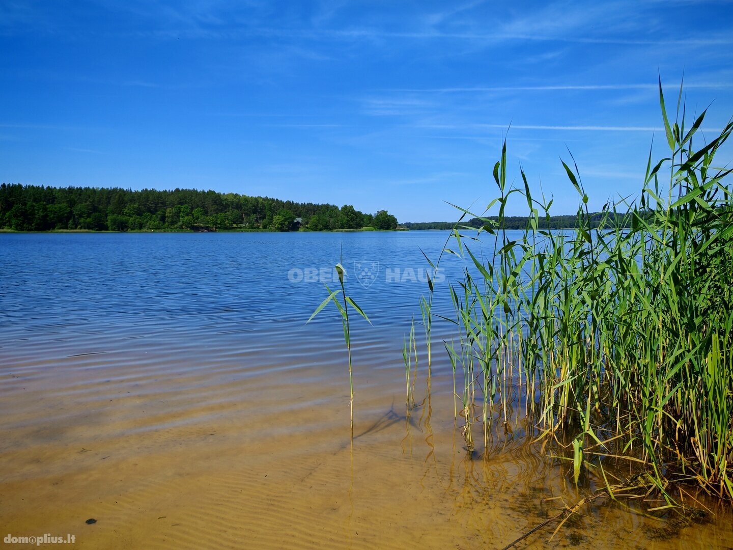 Parduodamas sklypas Kaišiadorių rajono sav., Kalviuose