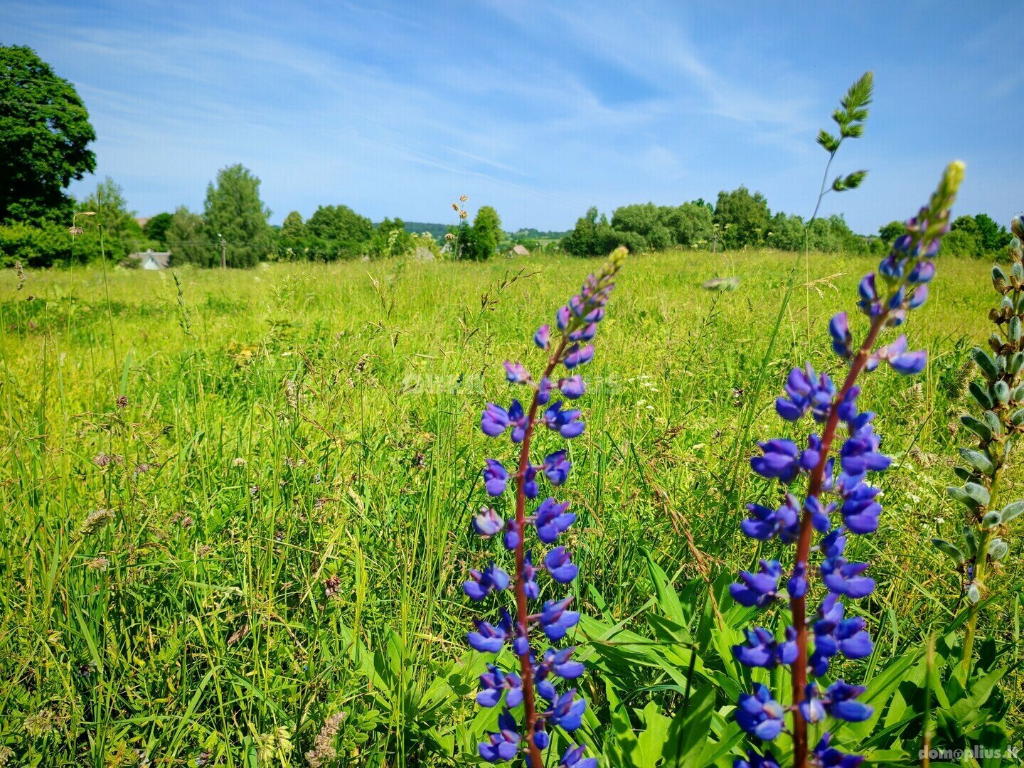 Parduodamas sklypas Kaišiadorių rajono sav., Kalviuose