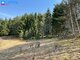 Land for sale Trakų rajono sav., Aukštadvaryje, Verknės g. (13 picture)