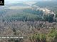 Land for sale Vilniaus rajono sav., Čepurniškėse (4 picture)