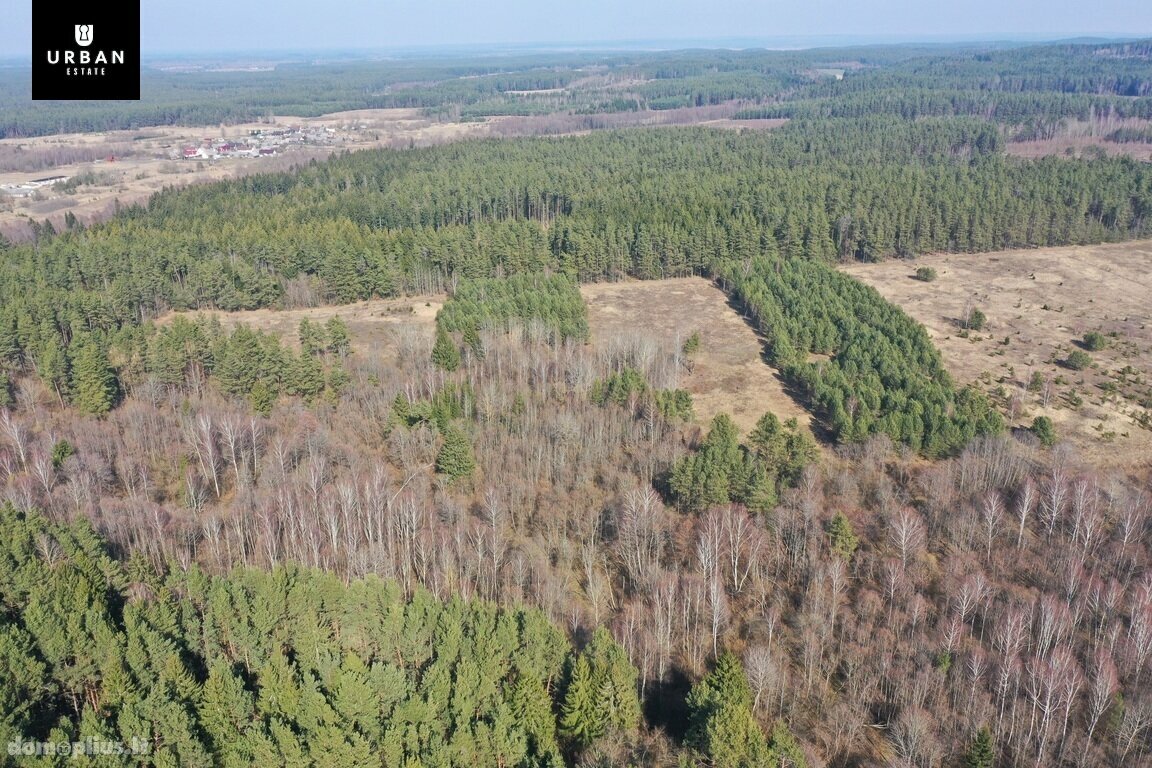 Участок Vilniaus rajono sav., Čepurniškėse