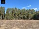 Land for sale Vilniaus rajono sav., Čepurniškėse (12 picture)