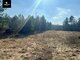 Land for sale Vilniaus rajono sav., Čepurniškėse (13 picture)