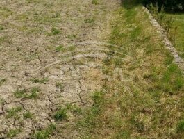 Parduodamas sklypas Kretingos rajono sav., Rubuliuose
