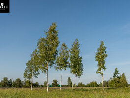 Sklypas Vilniaus rajono sav., Skaidiškėse, Aguonų g.